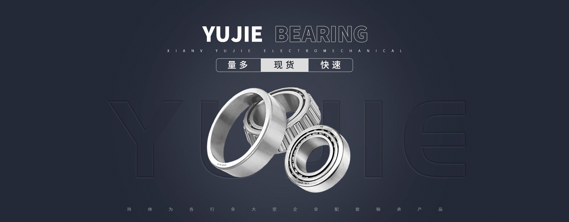 陝西(xī)NSK軸承