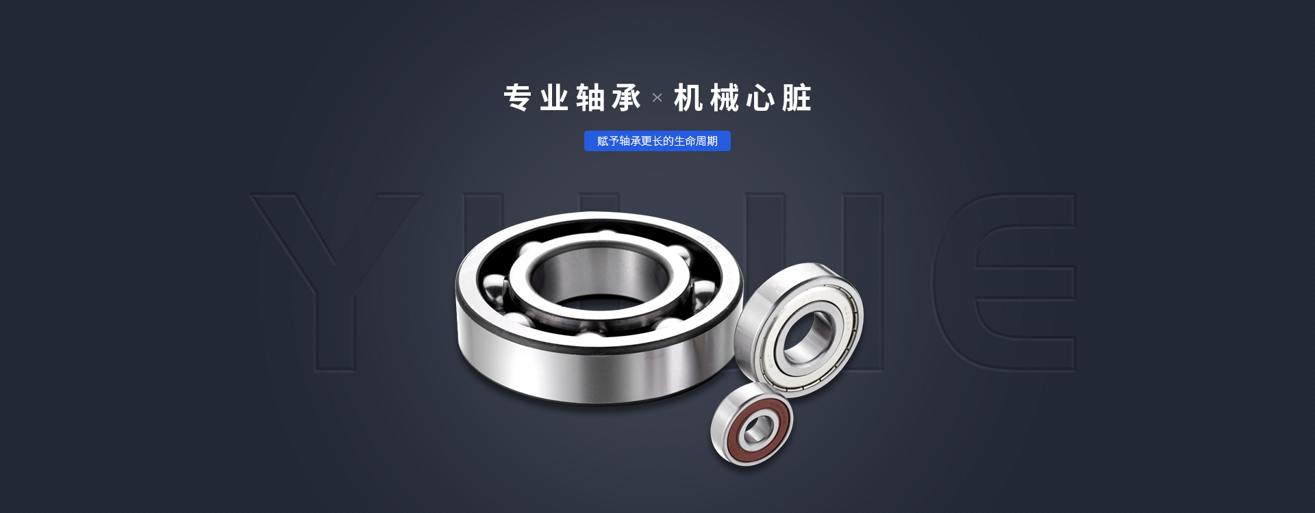 陝(shǎn)西SKF軸承(cheng)